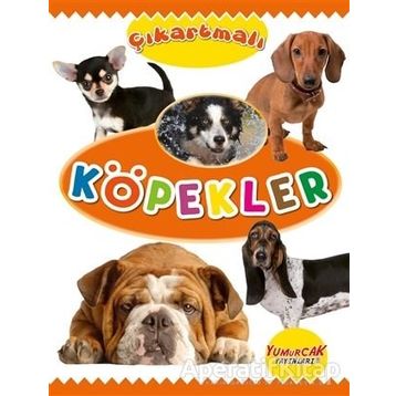 Çıkartmalı Köpekler Kolektif