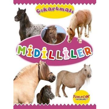 Çıkartmalı Midilliler Kolektif