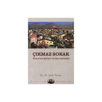 ÇIKMAZ SOKAK - ŞAHABEDDİN SÜLEYMAN