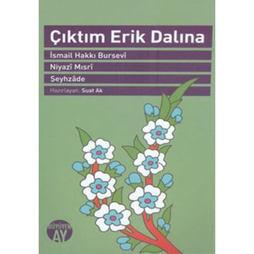 ÇIKTIM ERIK DALINA - KOLEKTIF