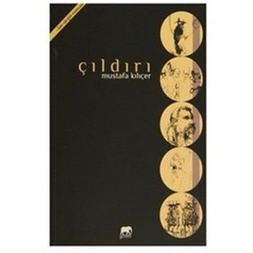 Çıldırı - Mustafa Kılıçer