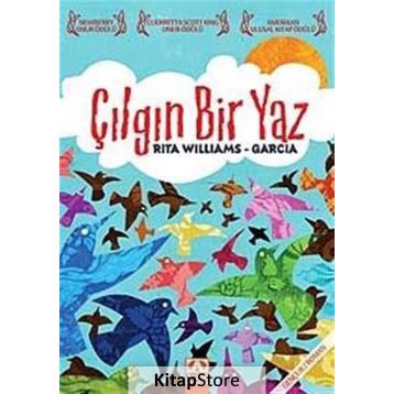 ÇILGIN BIR YAZ - RITA WILLIAMS GARCIA
