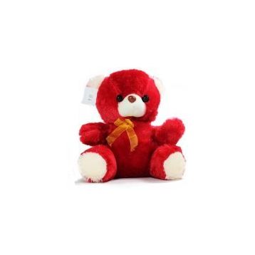 Çılgıntrend Peluş Ayıcık