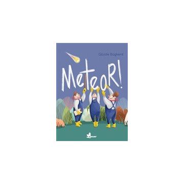 Çınar Yayınları Meteor