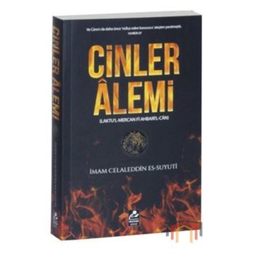 CINLER ALEMI - AHMET CEMIL AKINCI