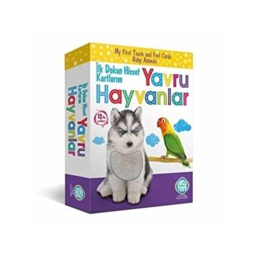 Circle Toys Dokun Hisset Tanı Yavru Hayvanlar Eğitim Kartları