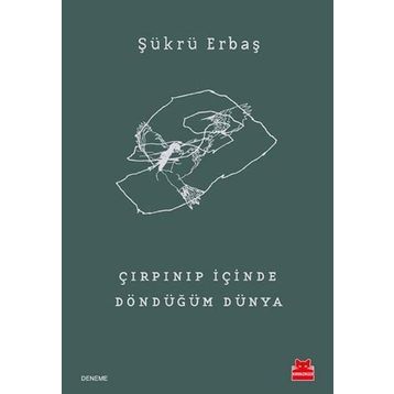 Çırpınıp İçinde Döndüğüm Dünya - Şükrü Erbaş