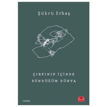 Çırpınıp İçinde Döndüğüm Dünya - Şükrü Erbaş