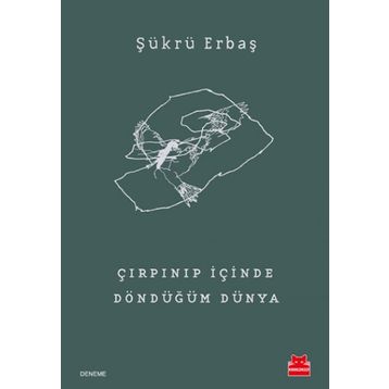 Çırpınıp İçinde Döndüğüm Dünya - Şükrü Erbaş