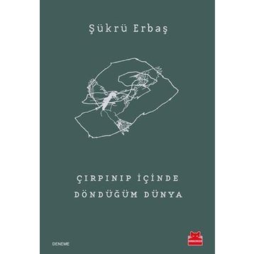Çırpınıp İçinde Döndüğüm Dünya - Şükrü Erbaş