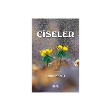 Çiseler Fikriye Namlı