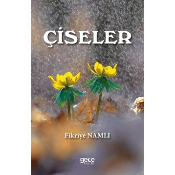Çiseler Fikriye Namlı