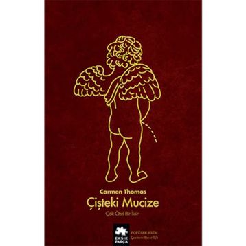 Çişteki Mucize - Eksik Parça Yayınları