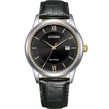 Citizen AW1784-16E Erkek Kol Saati