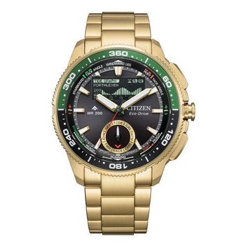 Citizen JV3002-51E Erkek Kol Saati