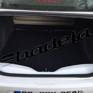 Citroen C-elysee 2012 Sonrası Bagaj Havuzu