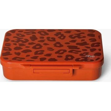 Citron 1286555 Leo 4 Bölmeli Tritan Beslenme Kutusu