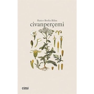 Civanperçemi Çizgi Kitabevi Yayınları