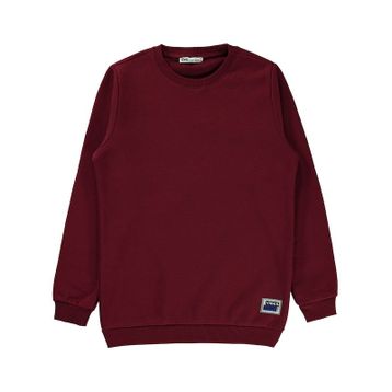 Civil 913150102K71 Baby Beyaz Erkek Bebek Sweatshirt -2