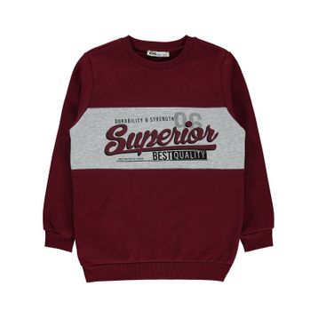 Civil 913150102K71 Baby Beyaz Erkek Bebek Sweatshirt -2