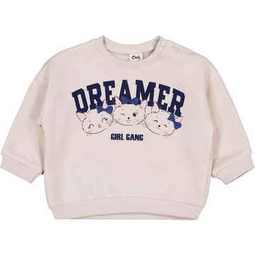 Civil Ayıcık Baskılı Çizgili 6-18 Ay Açık Taş Bebek Sweatshirt