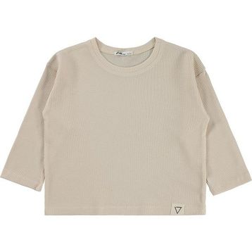 Civil Basic 2-5 Yaş Bej Erkek Çocuk Sweatshirt
