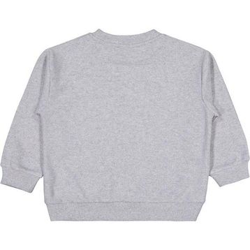Civil Basic Selanik 2-5 Yaş Gri Erkek Çocuk Sweatshirt