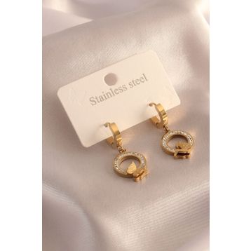 Clariss 316L Çelik Gold Renk Zirkon Taşlı Kadın Küpe
