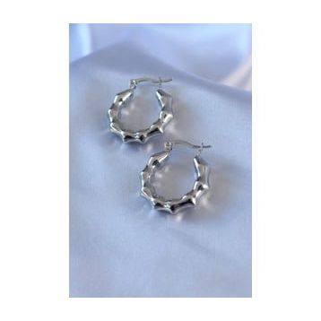 Clariss BJ-BKP7754 316L Çelik Gümüş Renk Halka Model Kadın Küpe