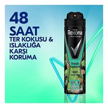 Clear Men Günlük Arınma Şampuan + Rexona NaneSedir Ağacı Deo Set