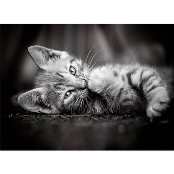 Clementoni 39422 1000 Parça Kedi Yavruları Puzzle