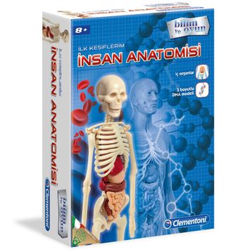 Clementoni 64297 İlk Keşiflerim İnsan Anatomisi