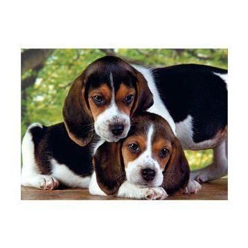 Clementoni Close Together-30289 500 Parça Puzzle