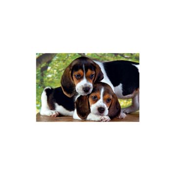 Clementoni Close Together 500 Parça Puzzle