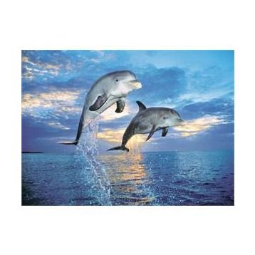 Clementoni Delfini 500 Parça Puzzle