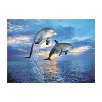 Clementoni Delfini 500 Parça Puzzle