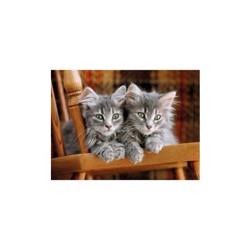 Clementoni Kittens 500 Parça Puzzle