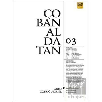 Çobanaldatan - Akın Çokuğurluel