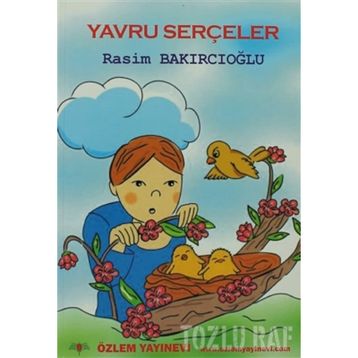 ÇOCUK KİTABI YAVRU SERÇELER ÖYKÜLER - RASIM BAKIRCIOĞLU
