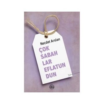 Çok Sabahlar Eflatundun - Necdet Arslan