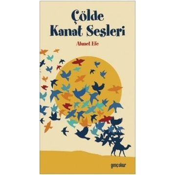 Çölde Kanat Sesleri - Ahmet Efe