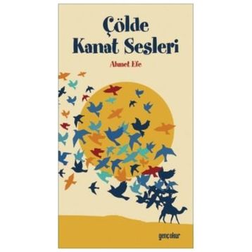 Çölde Kanat Sesleri - Ahmet Efe