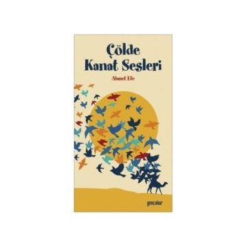 Çölde Kanat Sesleri - Ahmet Efe