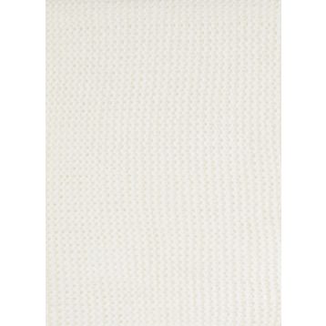 Colin's CL1023491 Ekru Kadın Atkı