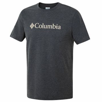 Columbia Csc Basic Logo Erkek T-Shirt