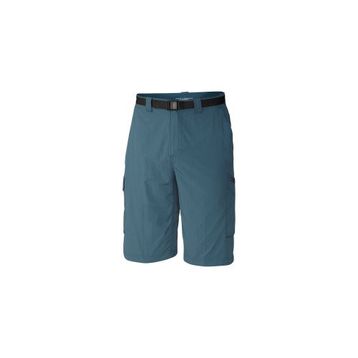 Columbia Silver Ridge Cargo Erkek Şort