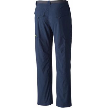 Columbia Silver Ridge Cargo Erkek Şort