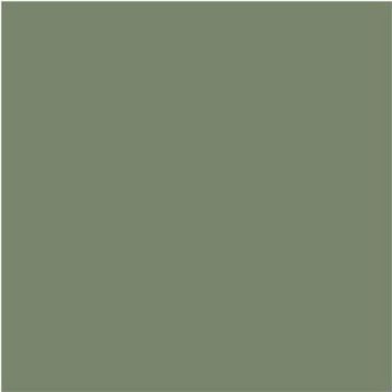 Conte A Paris Green Grey Pastel Boya Kalemi