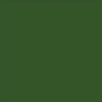 Conte A Paris Olive Green Pastel Boya Kalemi