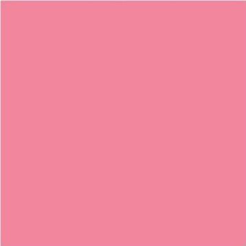Conte A Paris Pink Pastel Boya Kalemi